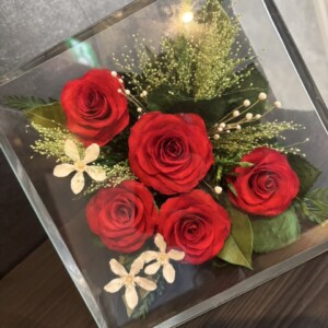 ありがとうございます🤗