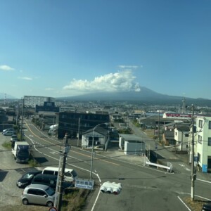 旅立っていきました🤣