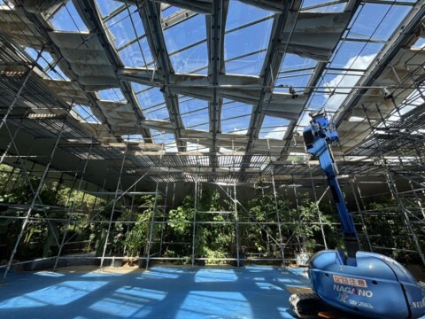 福岡市東区某施設　屋根補修用足場