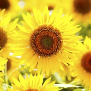 やるぞ～💪💪