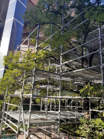 福岡市博多区某デパート　装飾用足場
