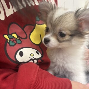 某会社様忘年会🍺