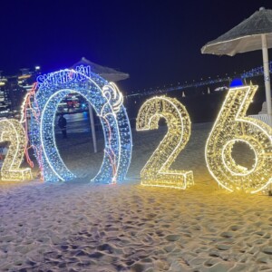 𝗛𝗮𝗽𝗽𝘆 𝗡𝗲𝘄 𝗬𝗲𝗮𝗿♬︎*.:*