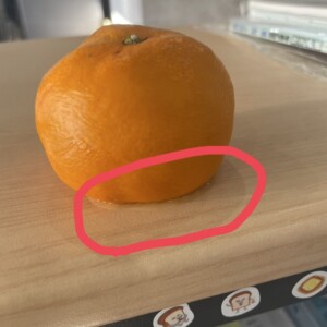 なんでもブログ（笑）