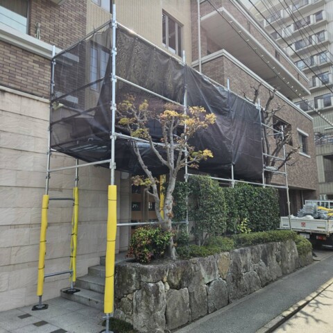福岡県福岡市中央区某マンションエントランス塗装工事用足場