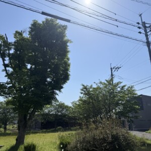 5月にして真夏日