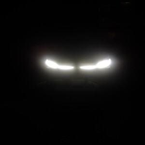 これで私も車界隈