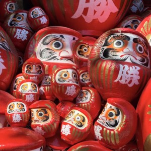 念願✨️