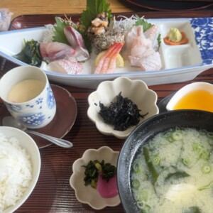 かぽー多肉