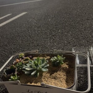移動の1日